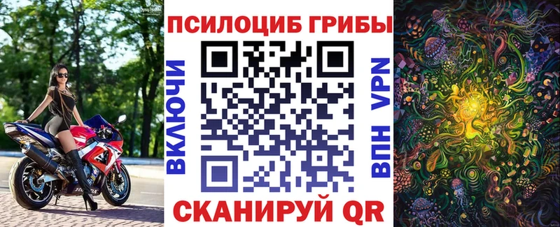 Псилоцибиновые грибы Cubensis  Купить где  Уссурийск 